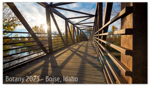 Boise, Idaho Zoom Background 5
